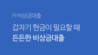 Fi비상금대출 갑자기 현금이 필요할때 든든한 비상금대출